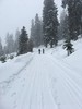photo thumbnail #1