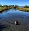 photo thumbnail #7