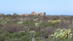 photo thumbnail #14