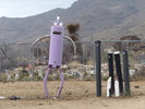 photo thumbnail #12