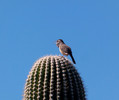 photo thumbnail #11