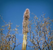 photo thumbnail #13