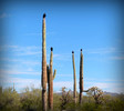 photo thumbnail #14