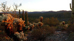 photo thumbnail #2
