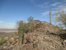 photo thumbnail #5