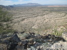 photo thumbnail #6
