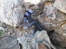 photo thumbnail #8