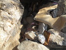 photo thumbnail #10