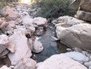 photo thumbnail #10