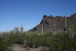 photo thumbnail #2