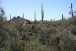photo thumbnail #1