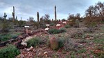 photo thumbnail #3