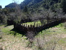photo thumbnail #9