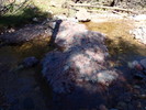 photo thumbnail #11