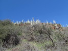photo thumbnail #12