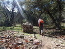 photo thumbnail #14