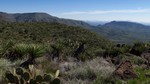 photo thumbnail #8