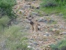 photo thumbnail #2
