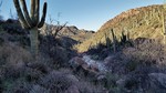 photo thumbnail #4