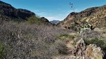 photo thumbnail #12