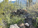 photo thumbnail #1
