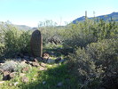 photo thumbnail #2