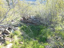photo thumbnail #3