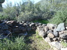 photo thumbnail #7
