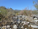 photo thumbnail #9
