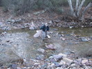 photo thumbnail #1