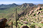 photo thumbnail #12