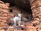 photo thumbnail #11