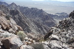 photo thumbnail #12
