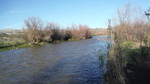 photo thumbnail #13