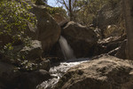 photo thumbnail #13