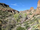 photo thumbnail #2