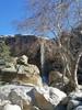photo thumbnail #4
