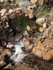 photo thumbnail #11