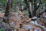 photo thumbnail #7