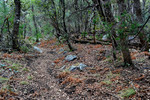 photo thumbnail #12