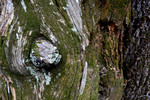 photo thumbnail #13