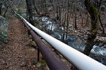 photo thumbnail #14