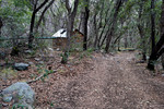 photo thumbnail #15