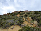 photo thumbnail #7