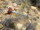 photo thumbnail #8