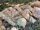 photo thumbnail #13