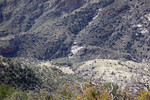 photo thumbnail #13