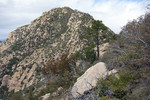 photo thumbnail #14