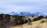 photo thumbnail #8