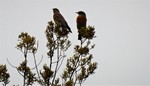 photo thumbnail #11